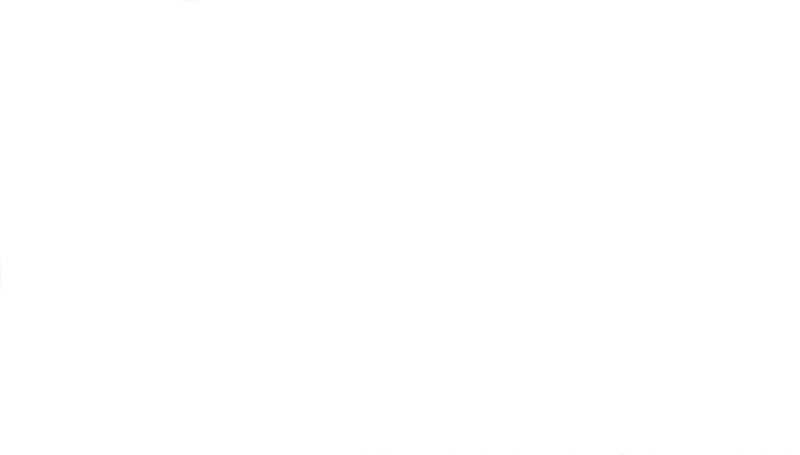BGY International Services Srl